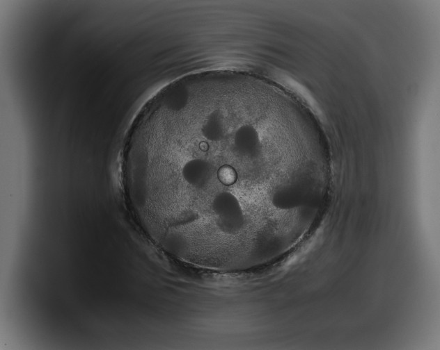 X0000100490875200806131248
