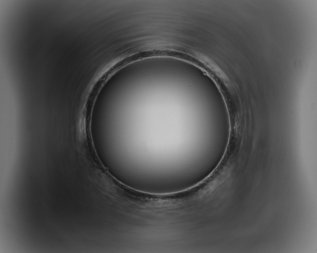 X0000100490877200806131248