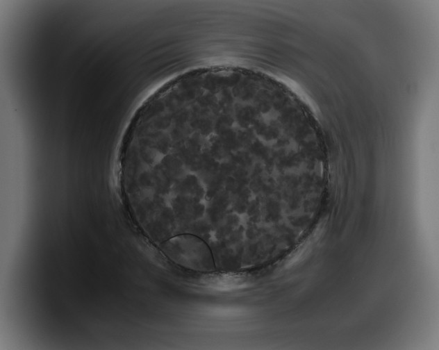 X0000100490879200806131248