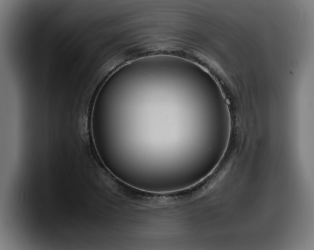 X0000100490881200806131248