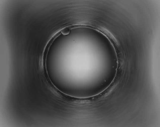 X0000100490884200806131248