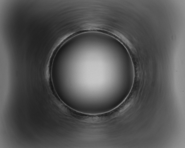 X0000100490885200806131248