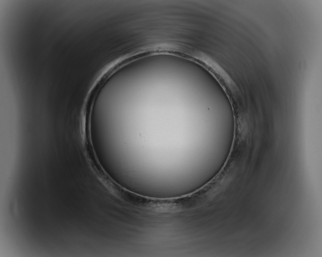 X0000100490886200806131248
