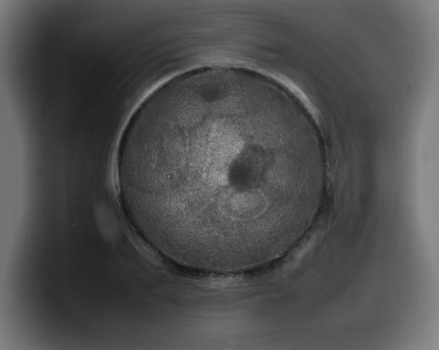 X0000100490887200806131248