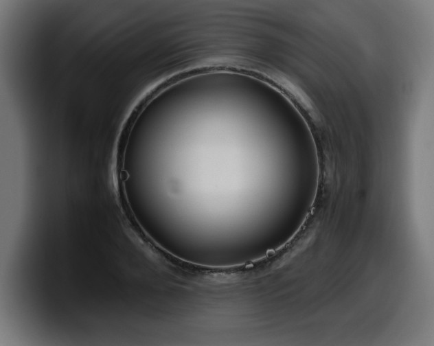 X0000100490888200806131248