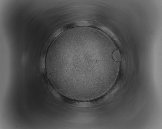 X0000100490889200806131248