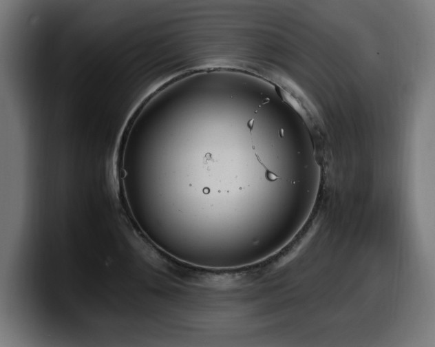 X0000100490892200806131248