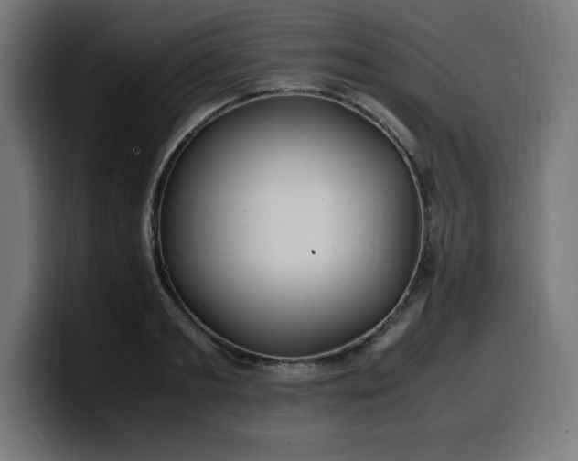 X0000100490893200806131248