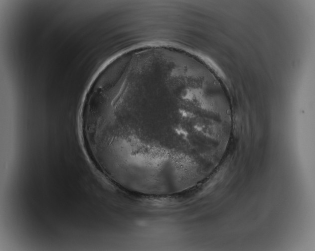X0000100490895200806131248