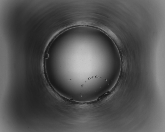 X0000100490896200806131247