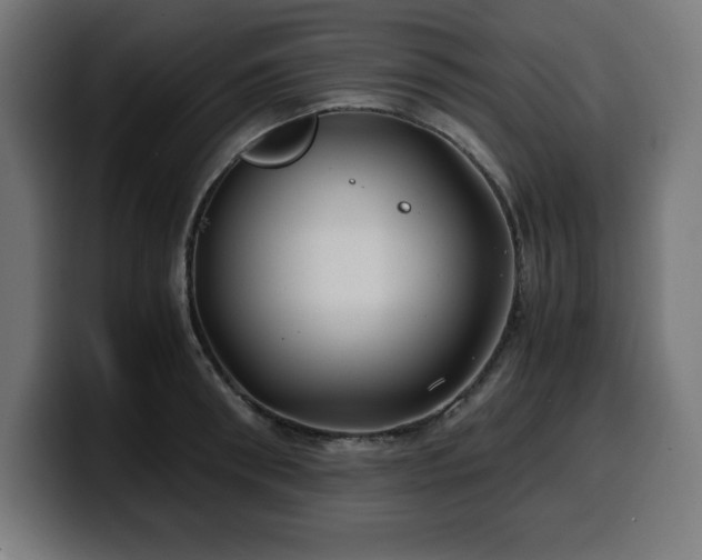 X0000100490898200806131247