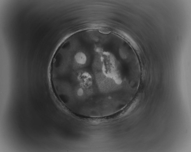X0000100490899200806131247
