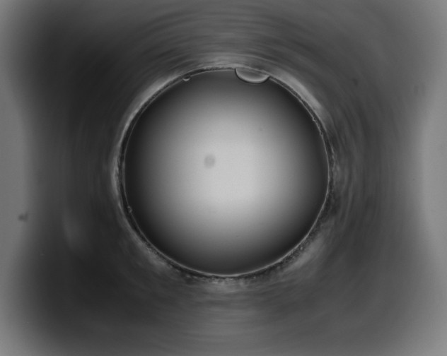 X0000100490901200806131247