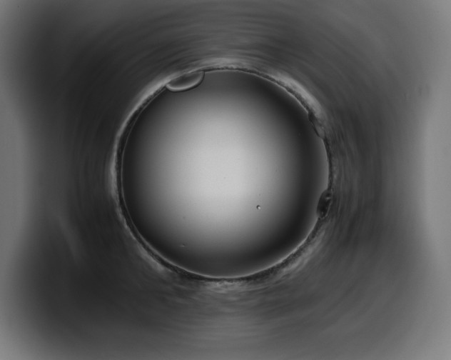 X0000100490902200806131247