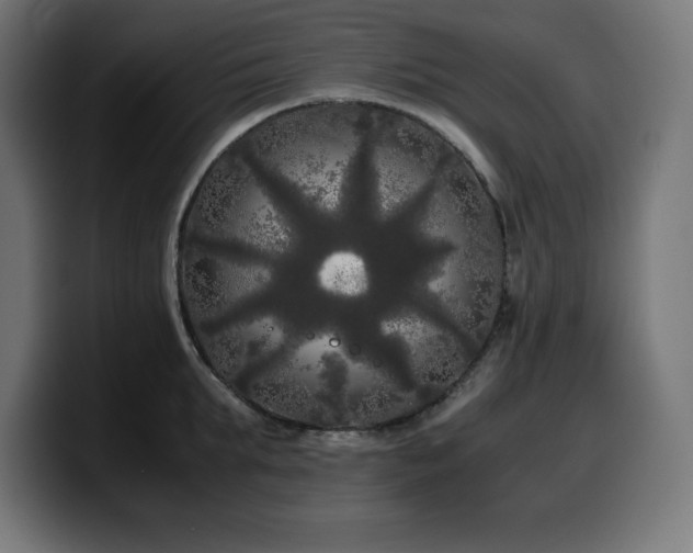 X0000100490903200806131247