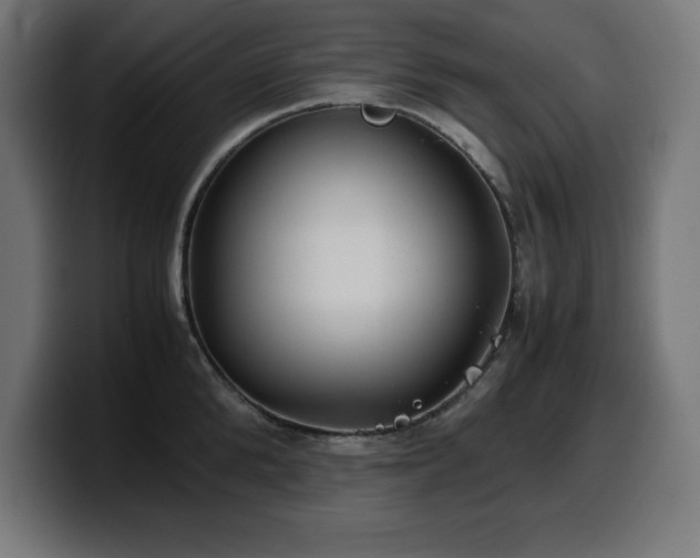 X0000100490904200806131247