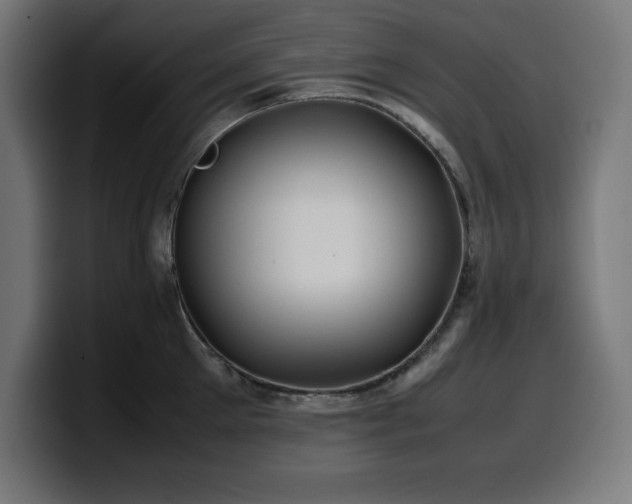 X0000100490905200806131247