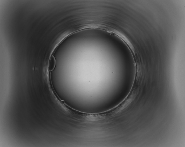 X0000100490906200806131247