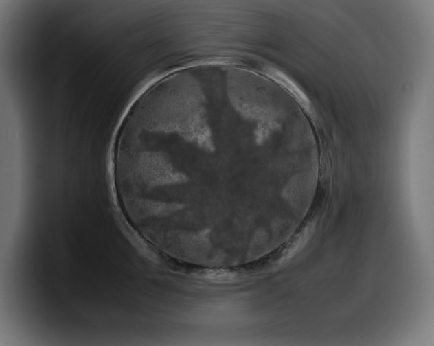 X0000100490907200806131247