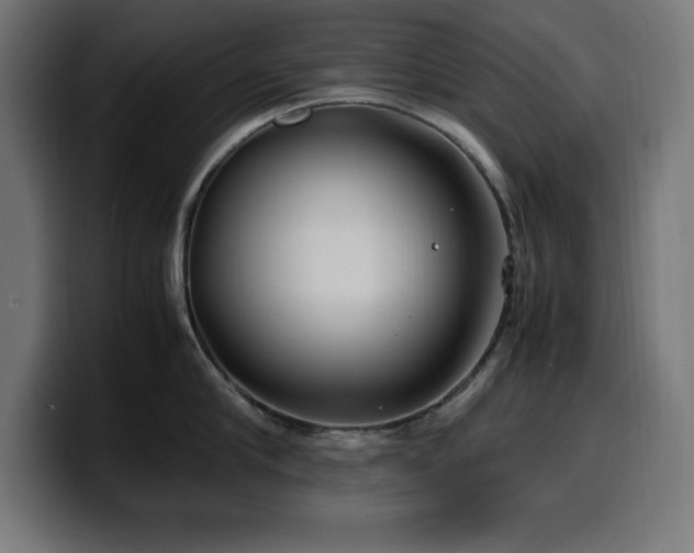 X0000100490910200806131247