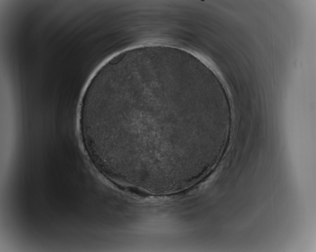 X0000100490912200806131247
