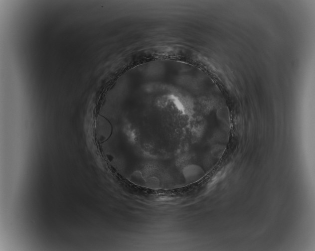X0000100490913200806131247