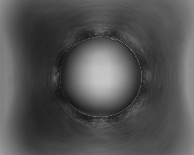 X0000100490914200806131247