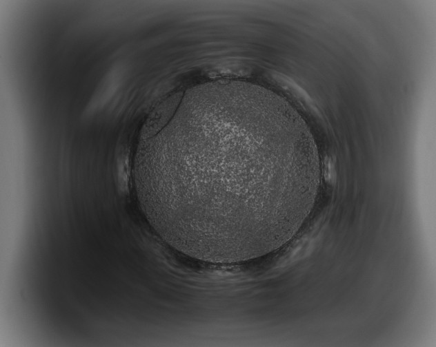 X0000100490915200806131247