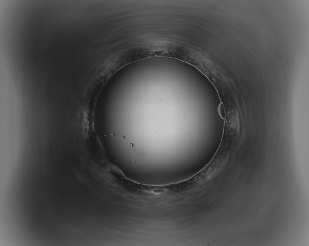 X0000100490916200806131247