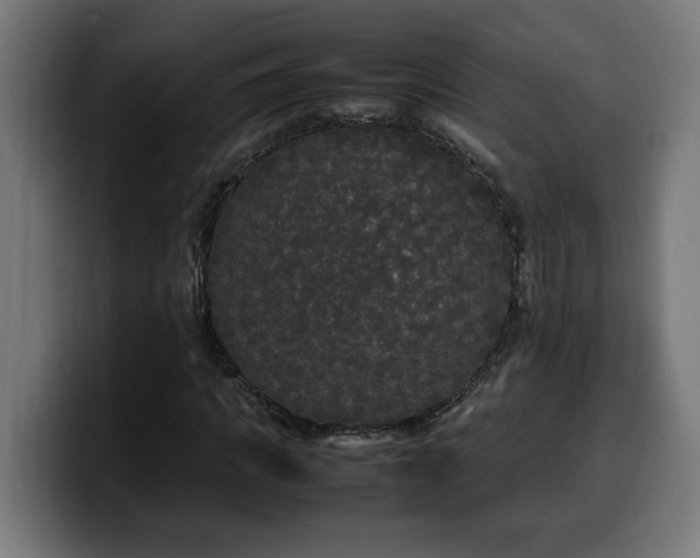 X0000100490917200806131247