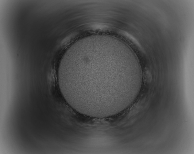 X0000100490918200806131247