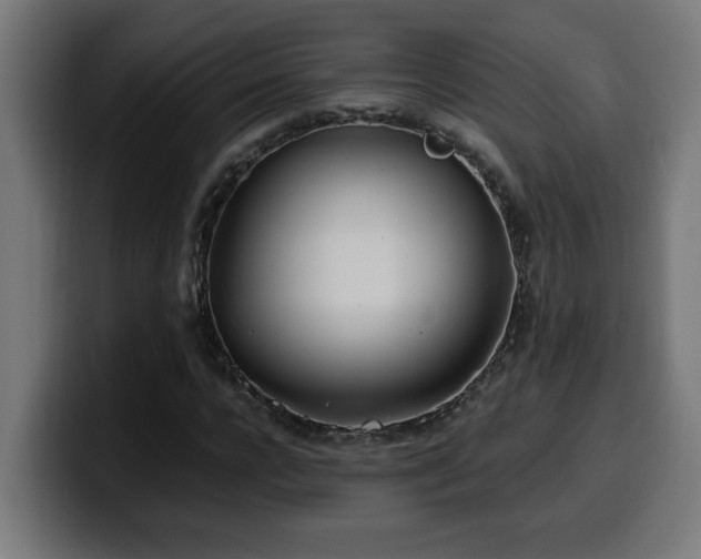 X0000100490920200806131247