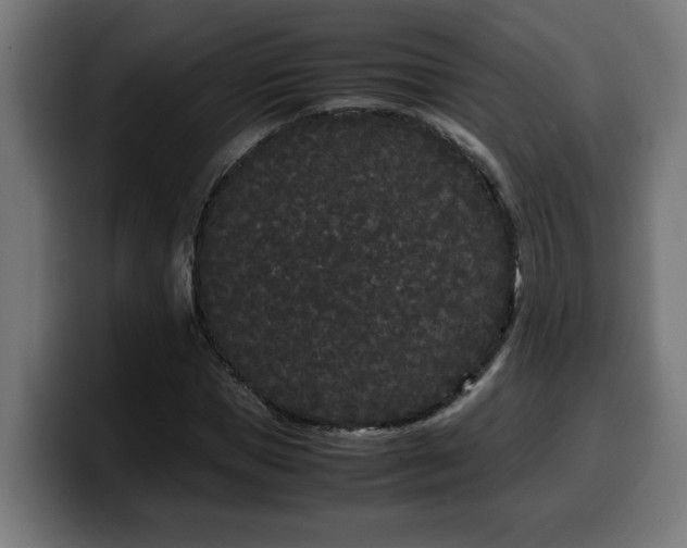 X0000100490921200806131247