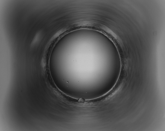 X0000100490922200806131247