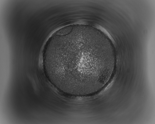 X0000100490923200806131247