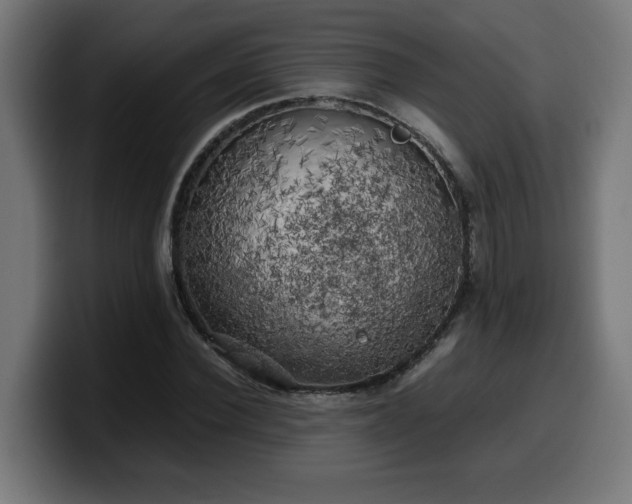 X0000100490924200806131247