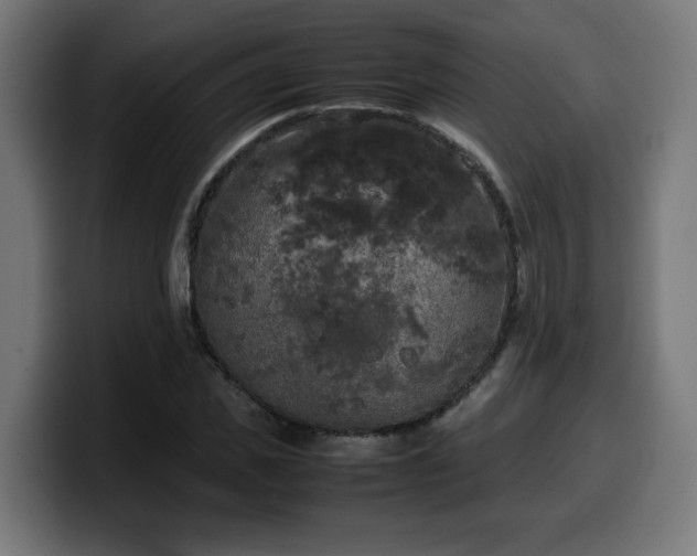 X0000100490925200806131247