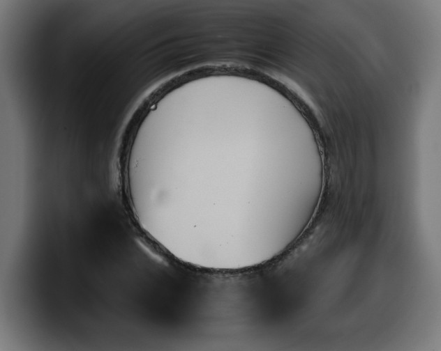 X0000100490927200806131247