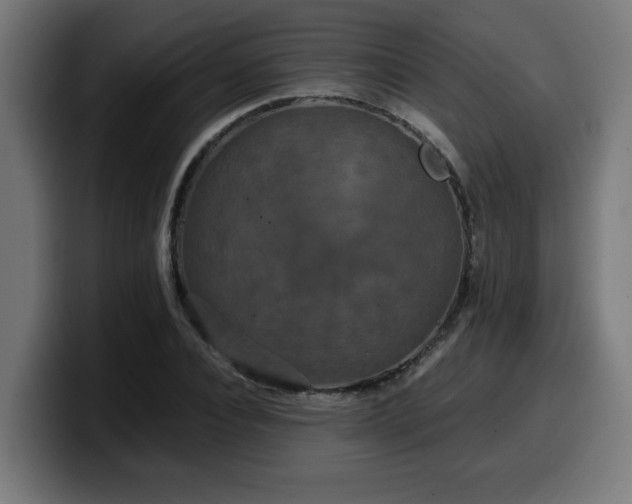 X0000100490928200806131247
