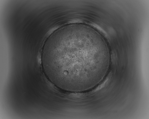 X0000100490929200806131247