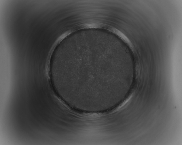X0000100490930200806131247
