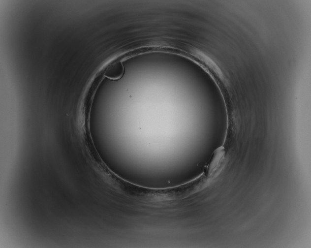 X0000100490931200806131247