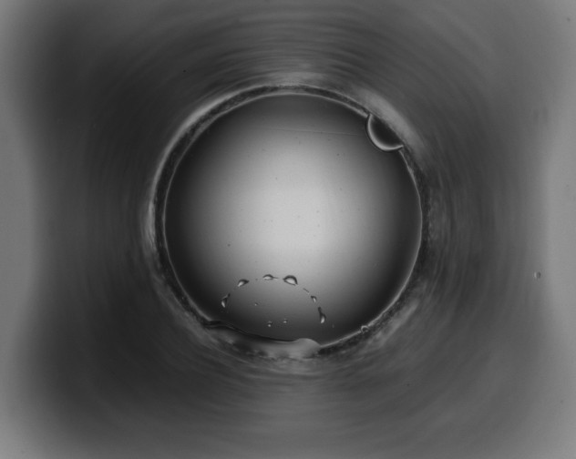 X0000100490932200806131247