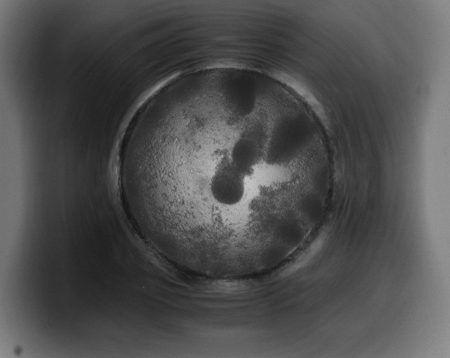 X0000100490933200806131247