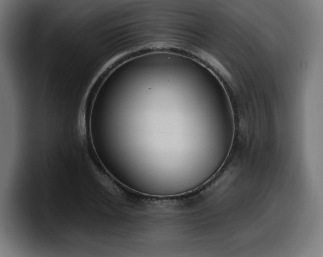 X0000100490934200806131247