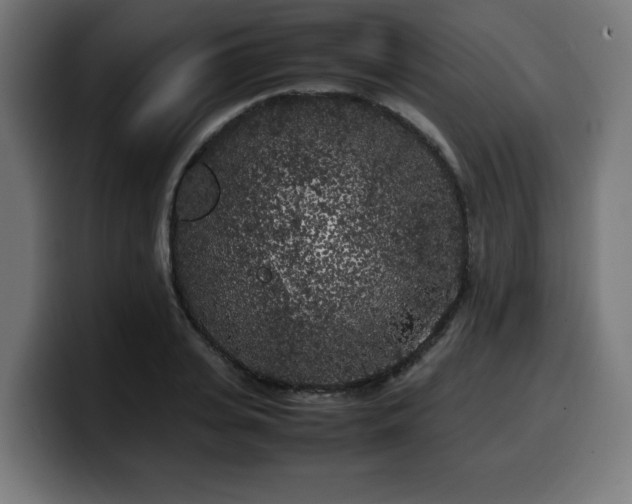 X0000100490935200806131247