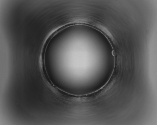 X0000100490936200806131247