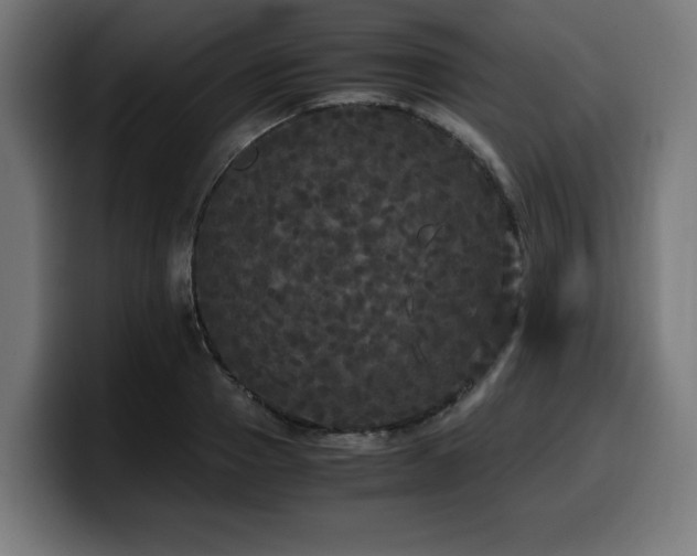 X0000100490937200806131247