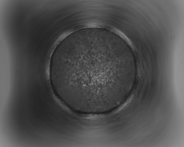 X0000100490938200806131247