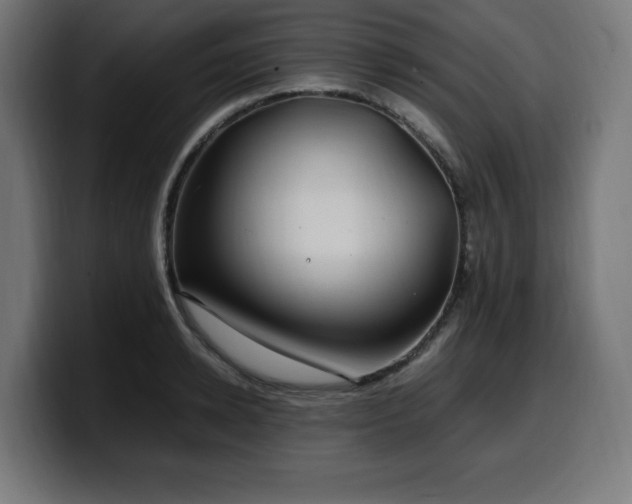 X0000100490942200806131247